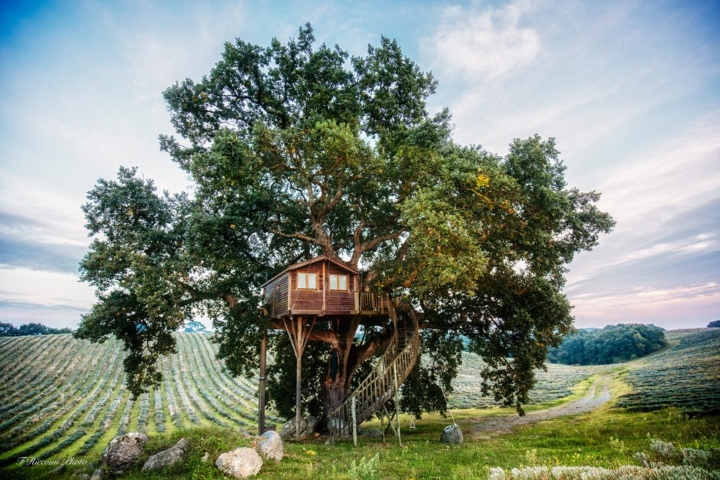 Casetta sull'albero 02