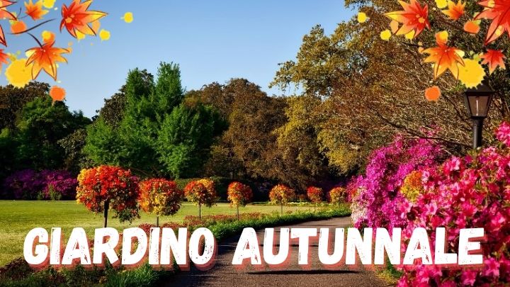 Giardino autunnale